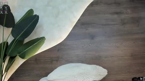 mia_lacy online show from February 12, 2025, 10:37 pm