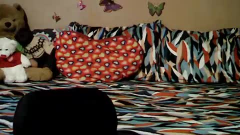 Snapshot of mia_rein chatting on June 26, 2026, 6:29 am mia_rein online show from June 26, 2026, 6:29 am