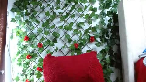 Mia squirt big INDEPENDENT MODEL...ONLYFANS  online show from December 6, 2024, 12:49 pm