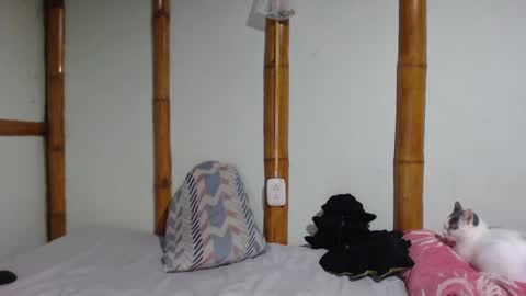 Mia  Sam online show from March 1, 2025, 9:04 pm