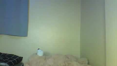 Muffin online show from December 17, 2025, 12:44 pm