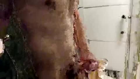 mickavis1975 online show from December 14, 2025, 5:40 pm