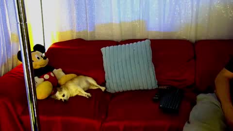 Mickey online show from February 28, 2025, 12:43 am