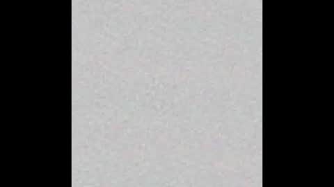 Mickey online show from November 4, 2025, 9:30 am