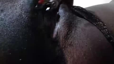 mickey online show from December 16, 2025, 12:43 pm