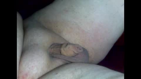 micropimmel online show from February 18, 2026, 6:59 pm