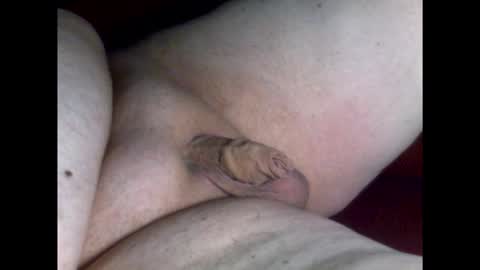 micropimmel online show from March 19, 2026, 8:24 pm