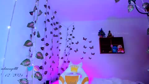       online show from December 4, 2024, 5:49 am