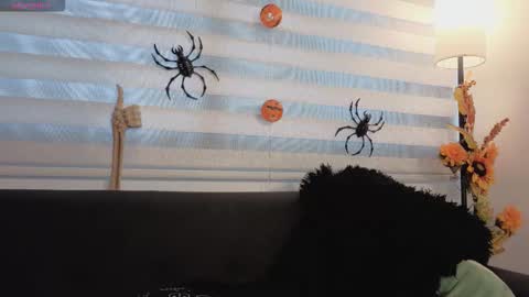 midori__san online show from November 4, 2025, 7:13 pm