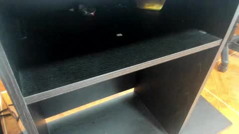 Mia online show from February 24, 2025, 11:10 am