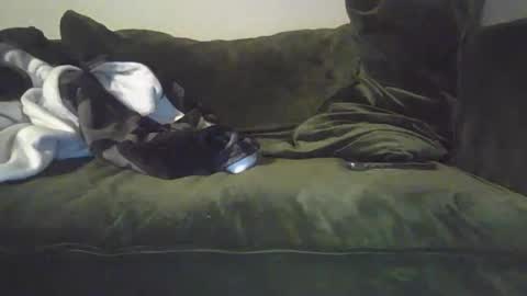 mike_davis44444 online show from January 31, 2025, 7:07 am