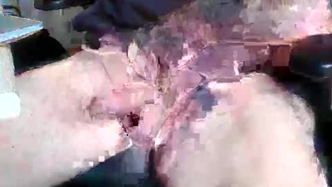 mikefun4711 online show from October 28, 2025, 8:29 am