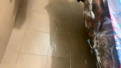 mikeyblunt online show from February 25, 2025, 1:28 pm