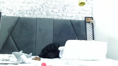 mila_adamss online show from January 16, 2025, 5:01 pm