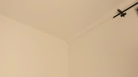     online show from February 14, 2025, 7:28 am