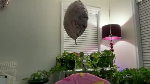 MIlf Goddess online show from July 13, 2026, 2:36 am