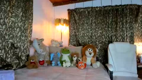 Nakary Bustamante online show from November 22, 2025, 11:04 pm