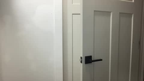 HungCollege online show from November 17, 2025, 3:34 am