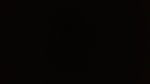 Rosalie  online show from September 9, 2025, 9:53 am