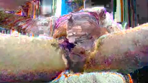 Snapshot of miltronik chatting on December 17, 2024, 4:12 am TOM online show from December 17, 2024, 4:12 am