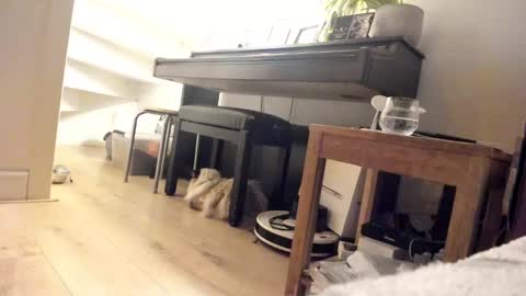 Snapshot of milu_curly chatting on March 5, 2025, 3:40 am Milu online show from March 5, 2025, 3:40 am