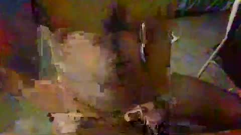 minoas31 online show from December 9, 2024, 6:46 pm