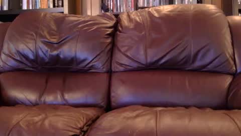 misohoney007 online show from April 6, 2026, 11:33 am