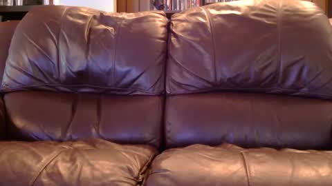 misohoney007 online show from April 11, 2026, 12:42 pm