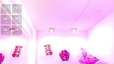 Melanie online show from March 21, 2026, 12:21 pm