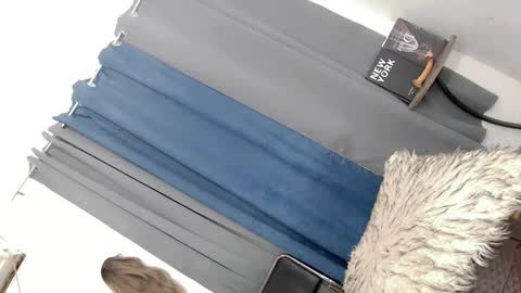 Snapshot of miss_mitchxx chatting on February 22, 2026, 10:08 pm miss_mitchxx online show from February 22, 2026, 10:08 pm