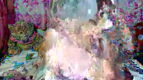 miss v0lcan0 online show from March 15, 2026, 12:05 am