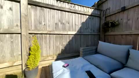  Miss Alex  online show from March 21, 2026, 2:09 pm