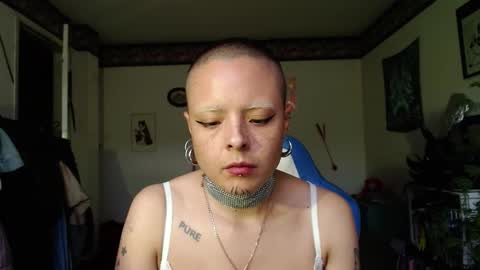 Anarkitten  online show from October 30, 2025, 9:48 pm