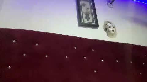 Missbelle online show from February 28, 2026, 9:16 pm