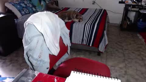 Maria Gomezz online show from February 2, 2026, 5:33 pm