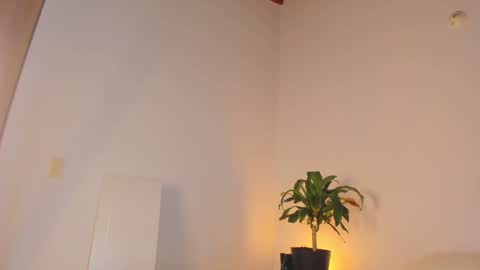 misspaulag online show from January 31, 2025, 4:03 am