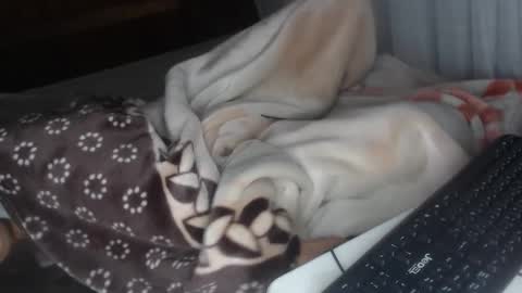 Snapshot of misspink152015 chatting on December 28, 2024, 4:30 am sarah online show from December 28, 2024, 4:30 am