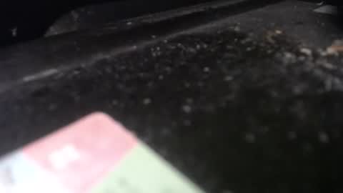 Calipso online show from April 20, 2026, 12:30 pm