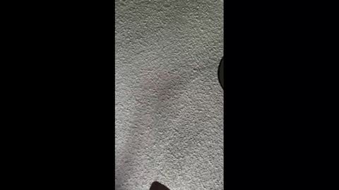 Snapshot of mister_nasty chatting on October 3, 2025, 9:56 pm mister_nasty online show from October 3, 2025, 9:56 pm