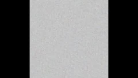 MisterRileyD online show from January 7, 2026, 4:04 am