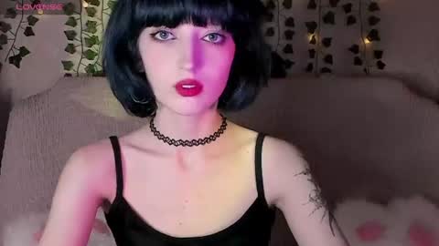 Misty  -  mistymarlow online show from June 12, 2026, 12:04 pm