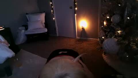 Snapshot of mmmmmwah chatting on December 11, 2024, 11:30 am Angel online show from December 11, 2024, 11:30 am