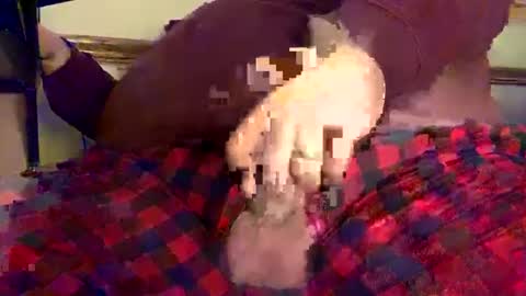 mnguy19726969 online show from December 18, 2024, 6:25 pm