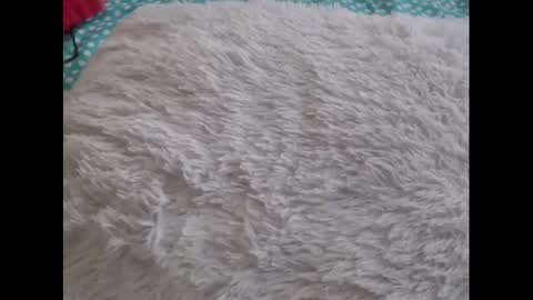 Snapshot of mollyandbra chatting on February 6, 2025, 10:21 pm Molly And Brad online show from February 6, 2025, 10:21 pm