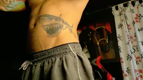 Molotov online show from November 19, 2025, 9:15 pm