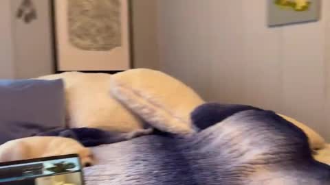 Mia  online show from January 6, 2025, 2:58 pm