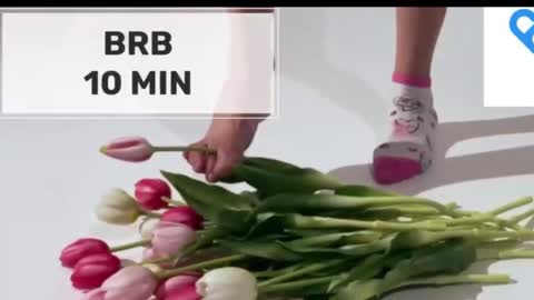 Mommy online show from November 21, 2025, 2:10 am