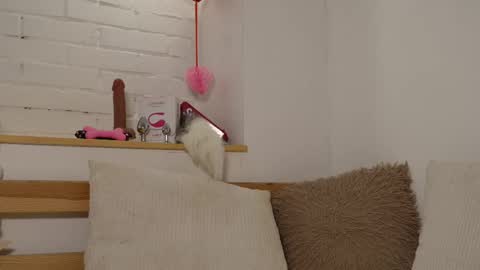 monicaasis online show from February 17, 2025, 12:21 am