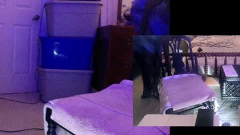 montydxxx2 online show from June 1, 2026, 6:15 am