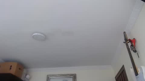 Abelardo online show from January 12, 2026, 3:28 pm